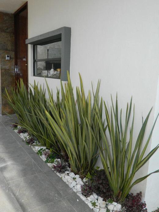Apartamento Erita Apartment Alicante Exterior photo